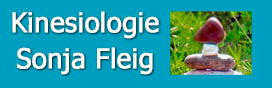 LogoKinesiologiesonjaFleigSteine 90