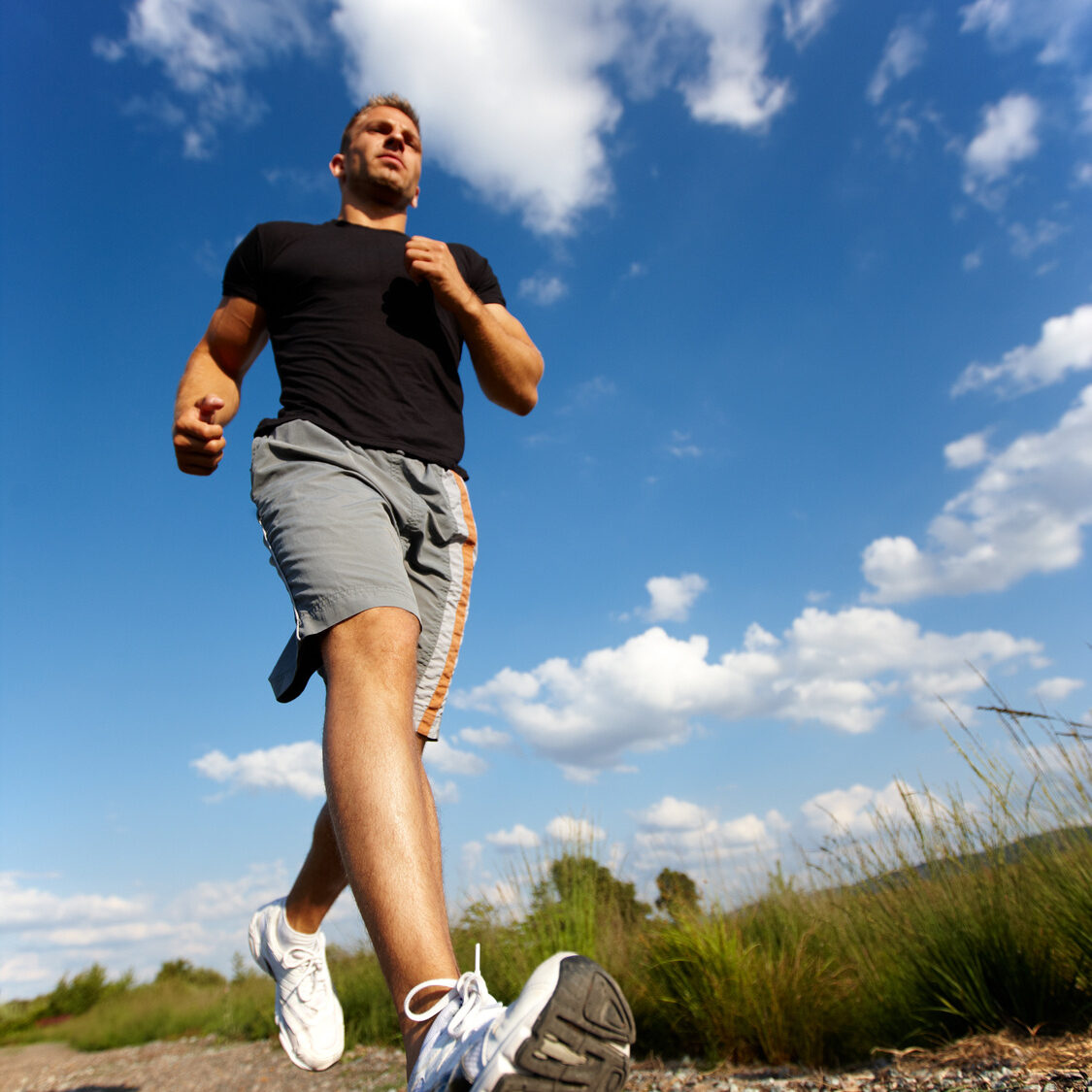 Läufer Felsen-Sport-Shop