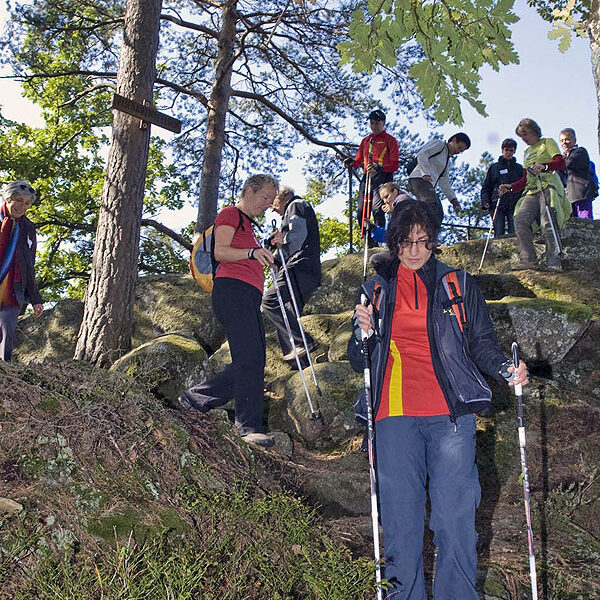 Nordic Walking Kurs Felsen Sport Shop 5